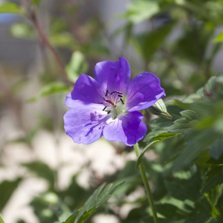 0IMG_9024