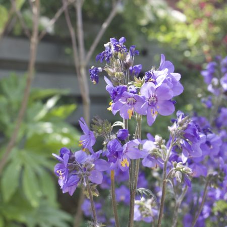 0IMG_8982 0IMG_8982