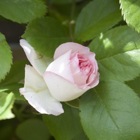 0IMG_9030