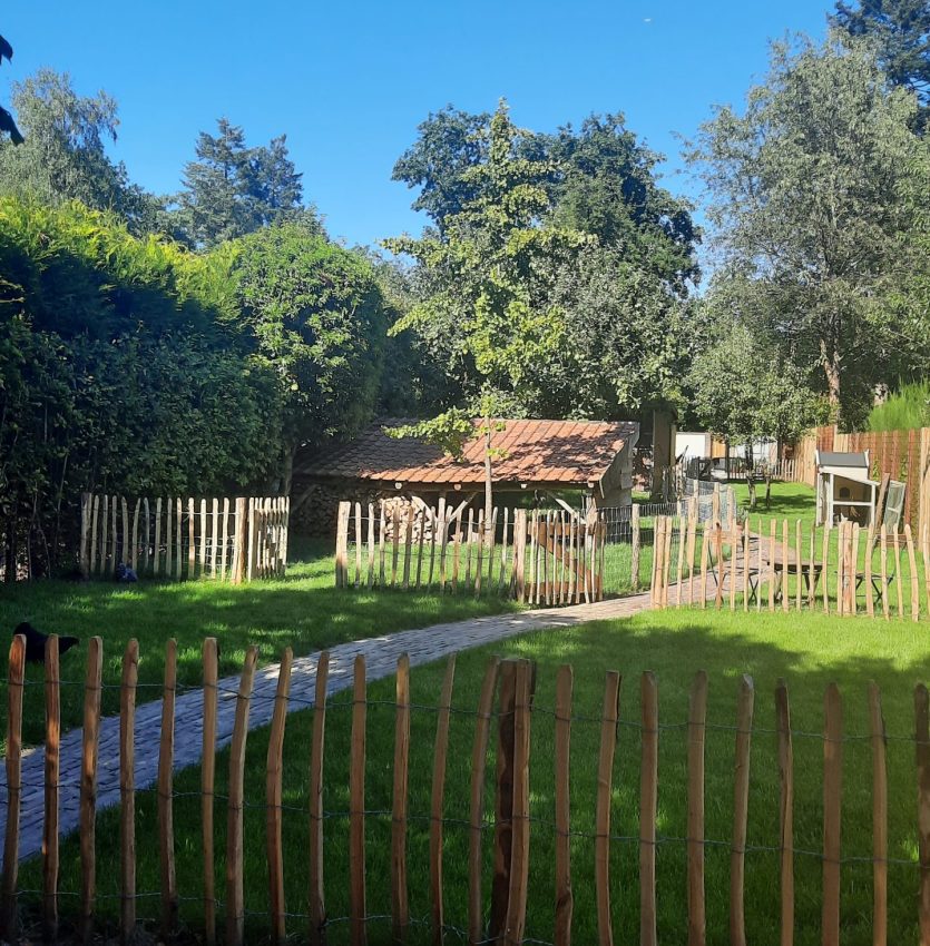 Groene verdwaal tuin