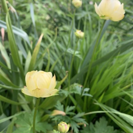 IMG_4032 IMG_4032